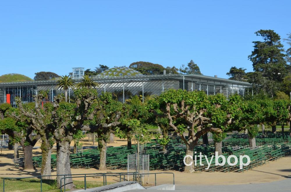 California Academy of Sciences - BEST things to do