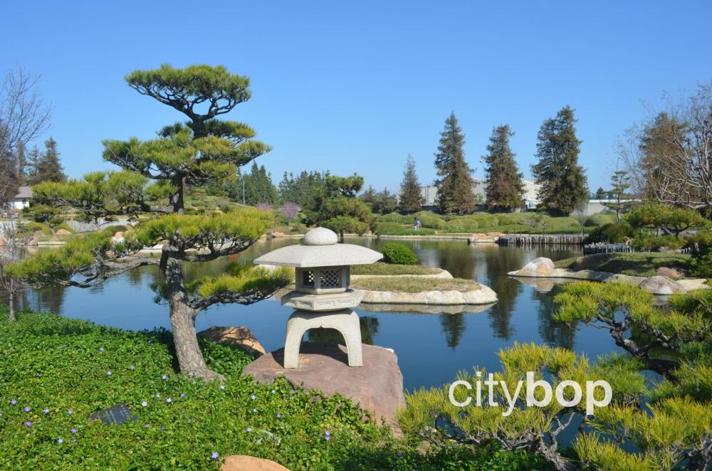 Japanese Garden Los Angeles: Tourist Guide