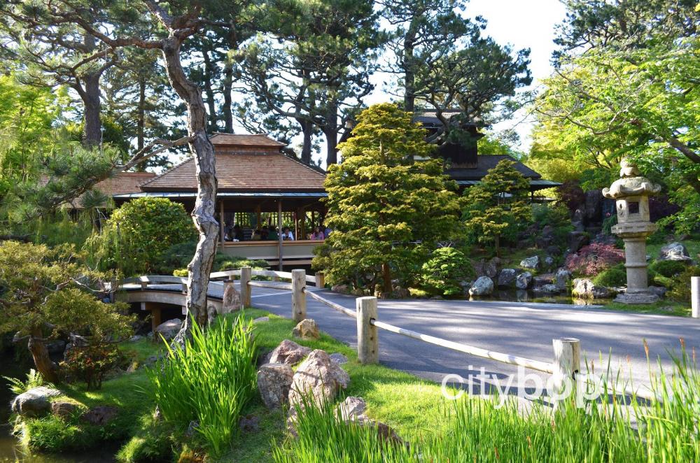 Tea house at Japanese Garden in SF