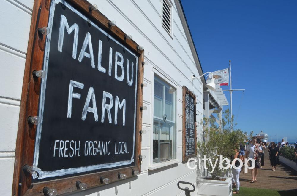 Malibu Pier restaurants