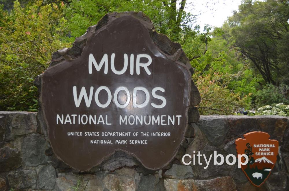 Muir Woods log sign