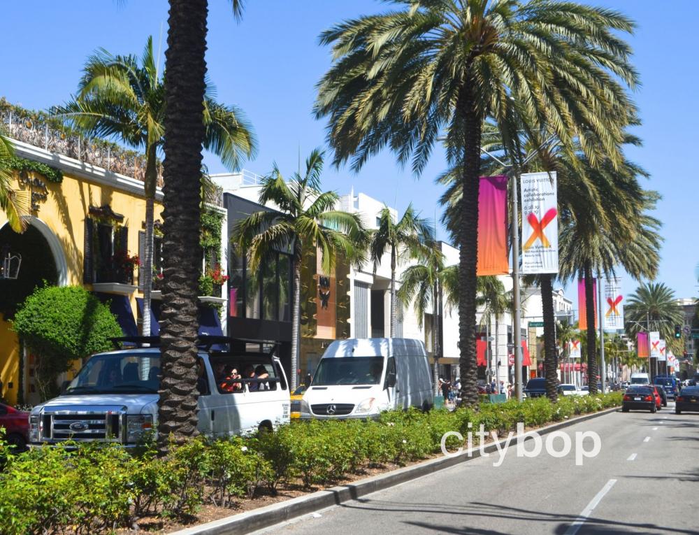 Rodeo Drive must see