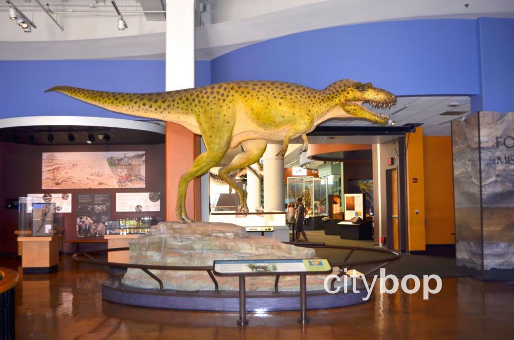10 BEST Attractions at Natural History Museum San Diego