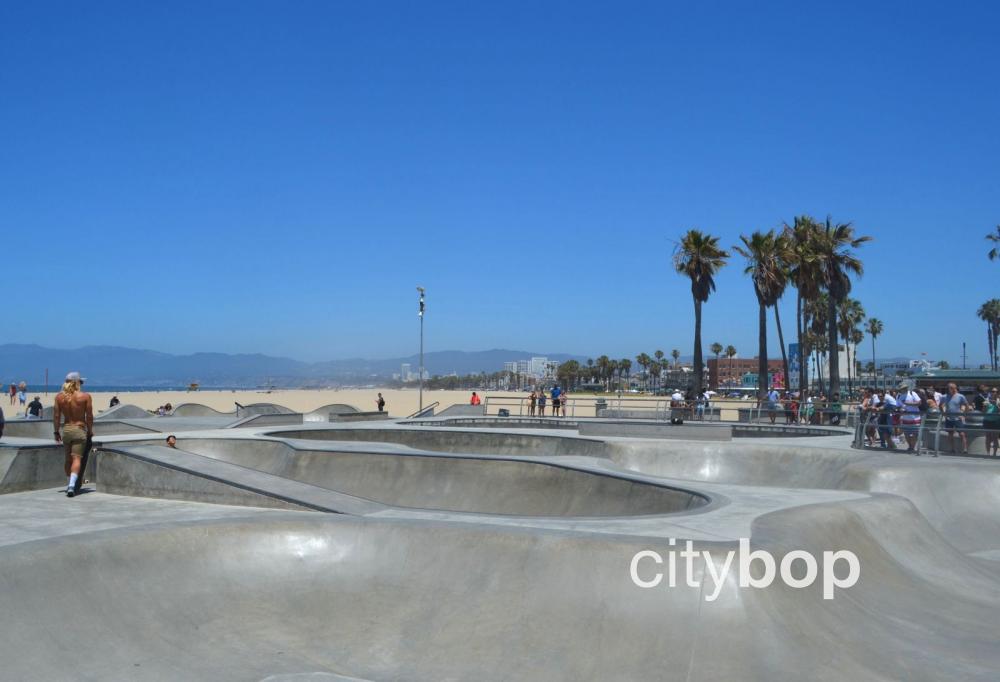 Venice Skate Park: What to Do There