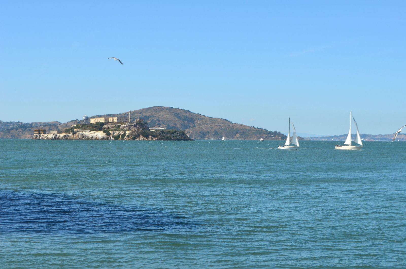 Alcatraz Island views from Pier 39