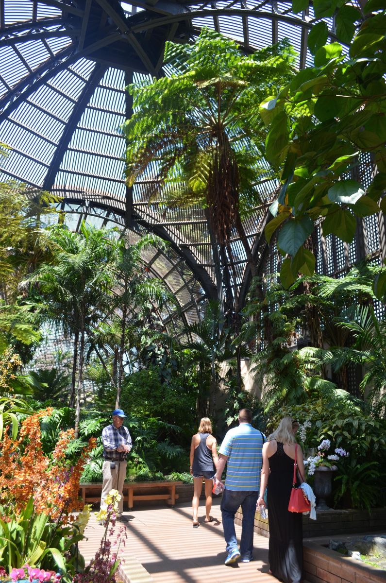 10 BEST Attractions at Balboa Park Botanical Building