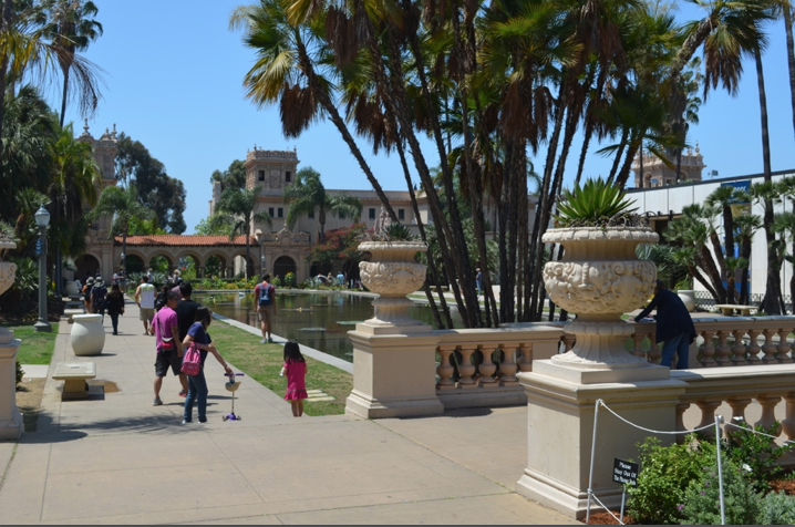 Balboa Park Lily Pond