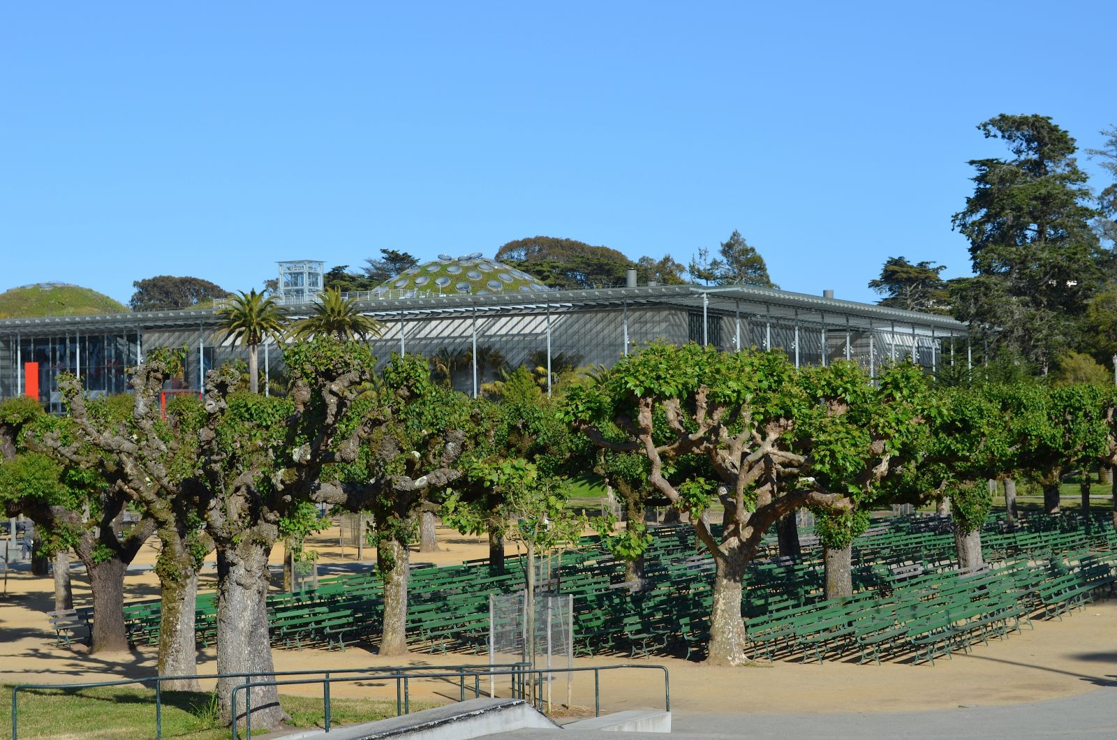 California Academy of Sciences - BEST things to do