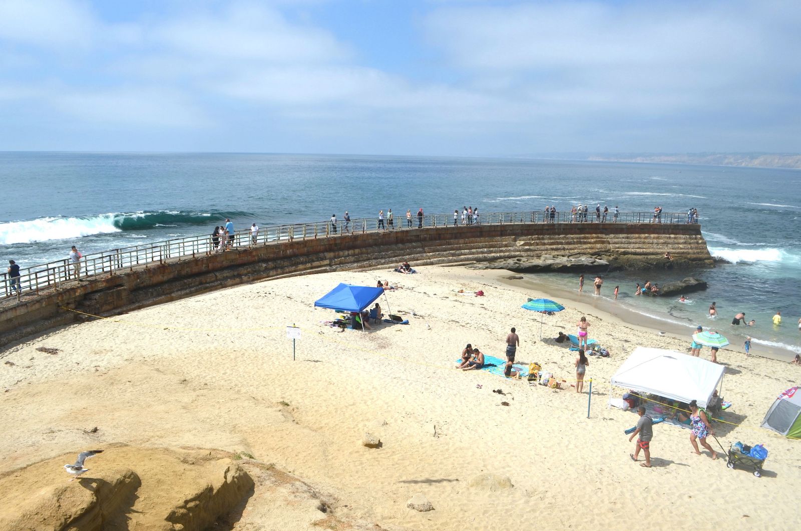 Children's Pool Beach San Diego: 5 BEST Things to Do