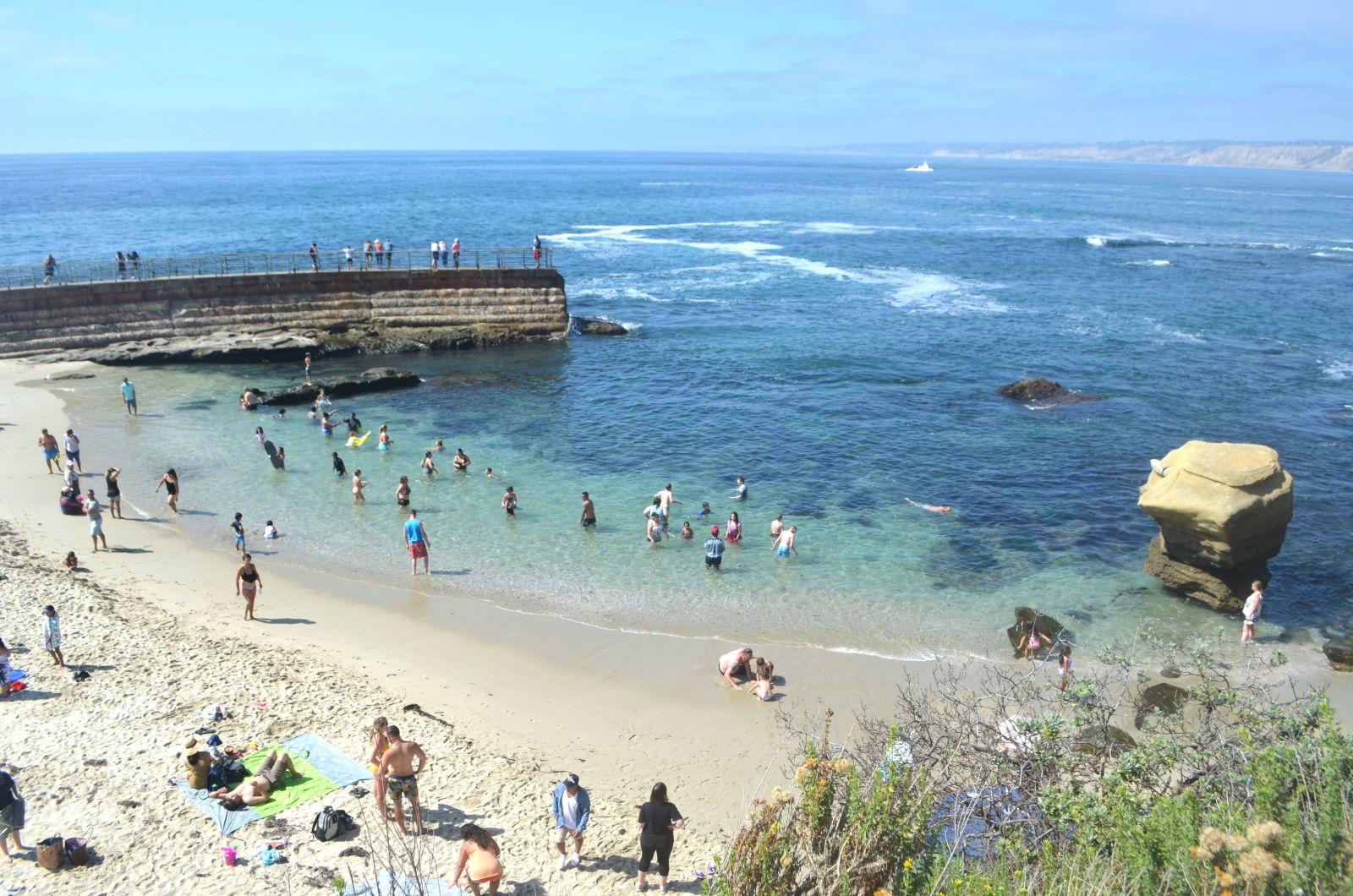 5 BEST Attractions at Children's Pool Beach San Diego 5 BEST Attractions at Children's Pool Beach San Diego