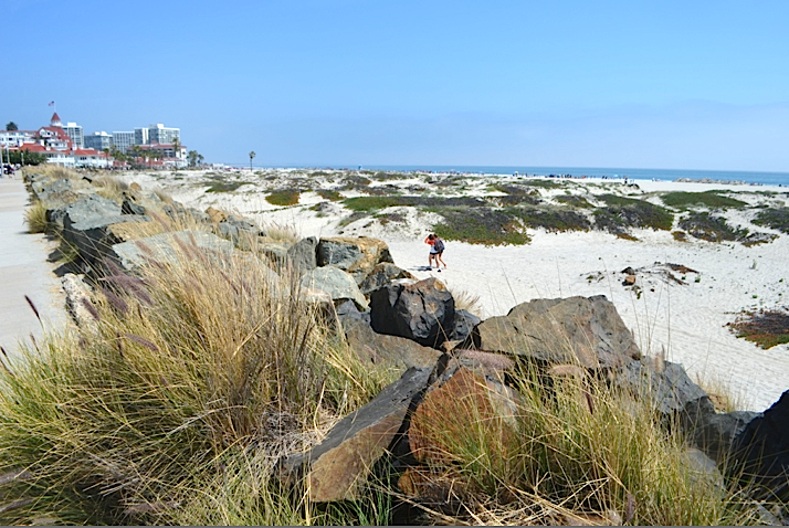 Coronado Beach San Diego Coronado Beach San Diego
