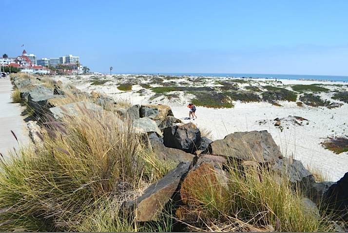 Coronado Beach San Diego