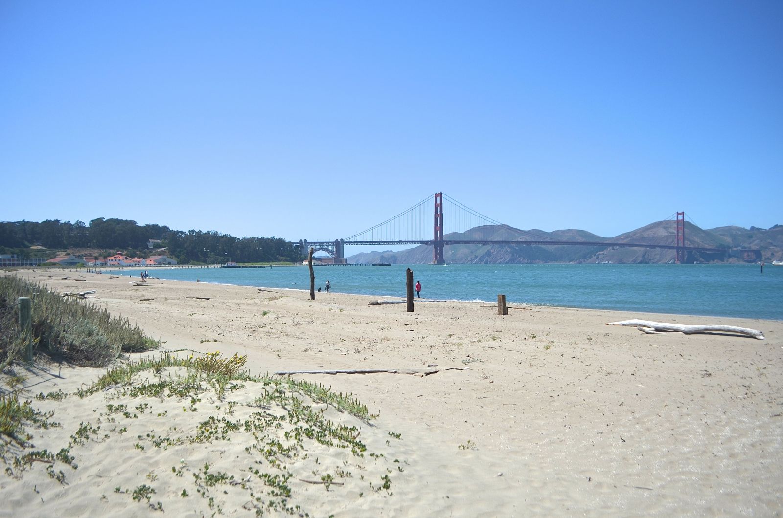 STUNNING Crissy Field Beach.