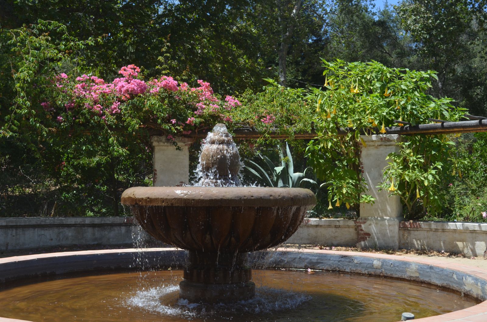 Descanso Gardens: 10 BEST Things to Do