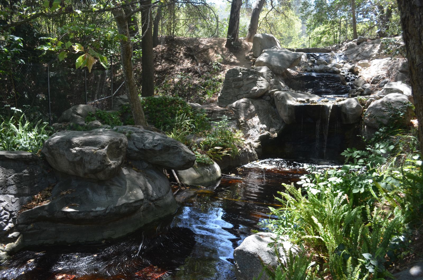 Descanso Gardens Mulberry Pond