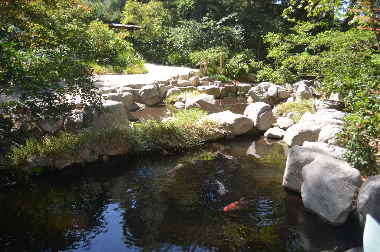 Descanso Gardens Waterfall