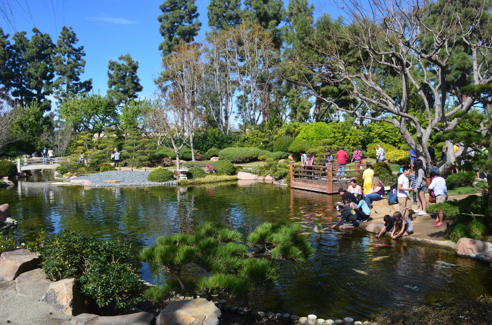 Guide to Earl Burns Miller Japanese Garden