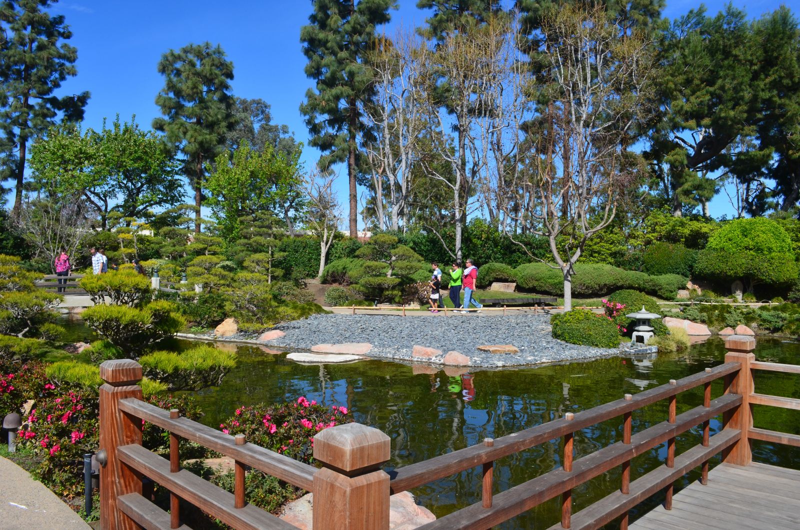 Earl Burns Miller Japanese Garden #1 GUIDE