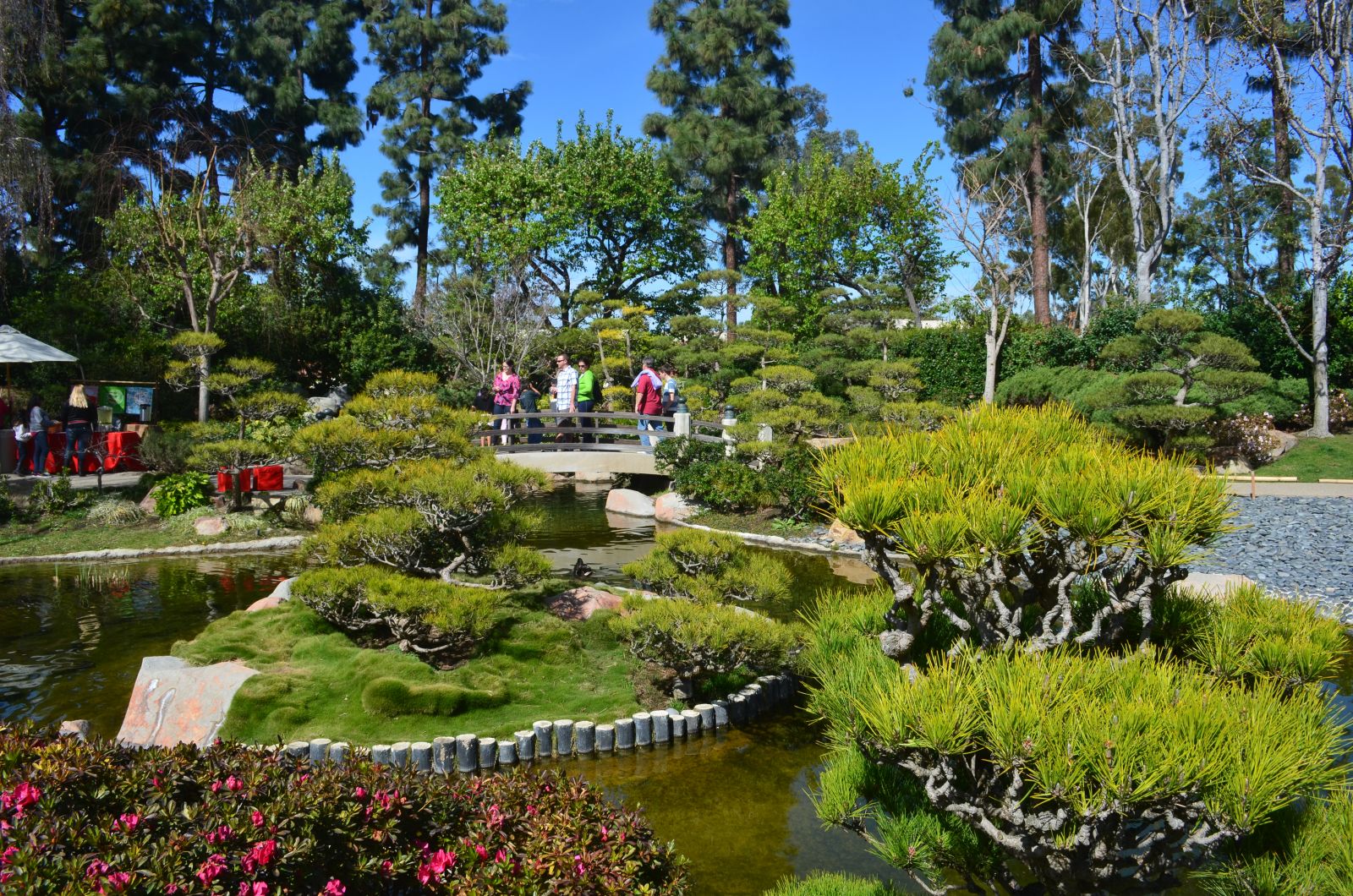 Earl Burns Miller Japanese Garden: BEST Attractions