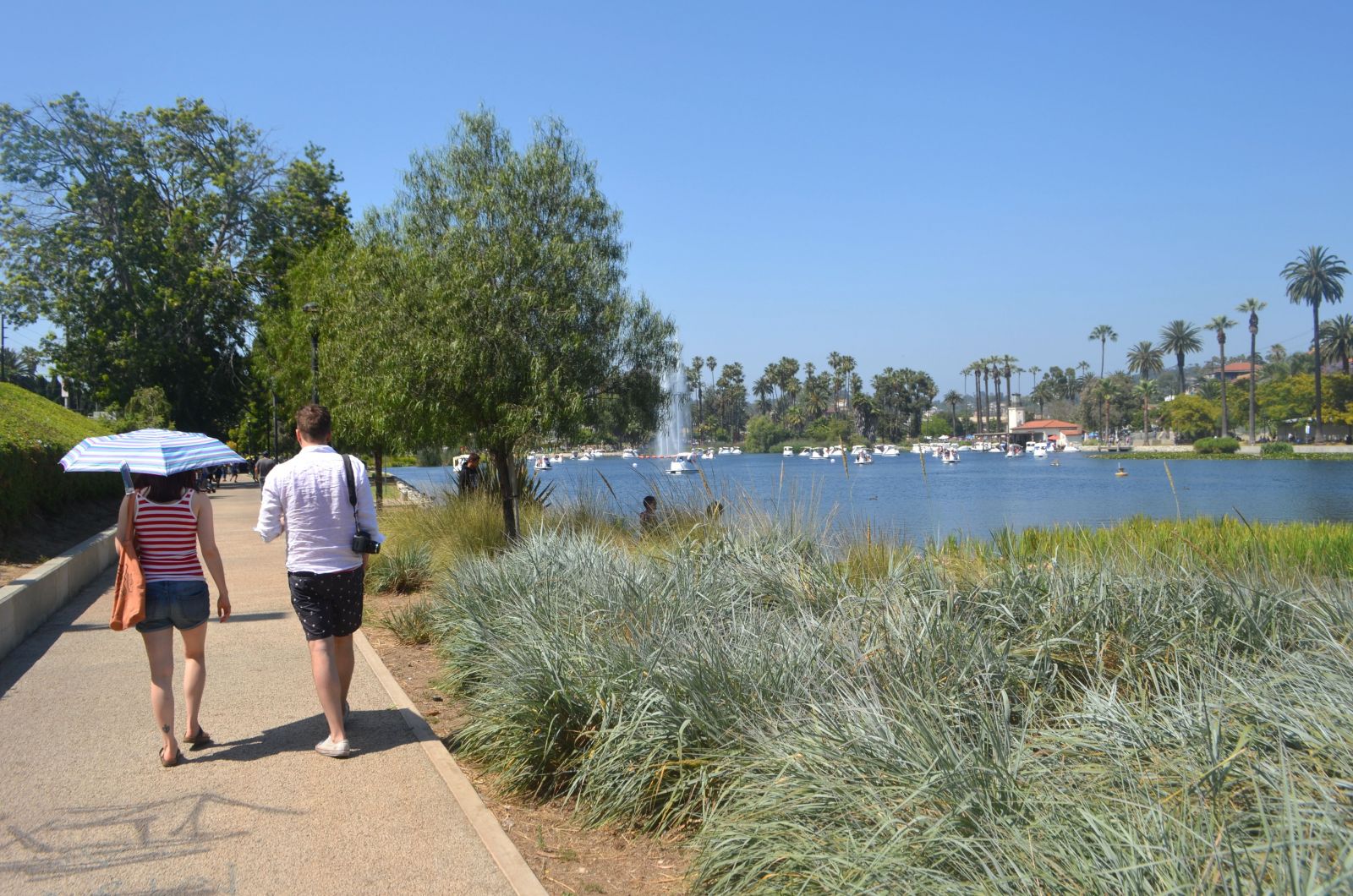 Echo Park Lake: 10 BEST things to do 