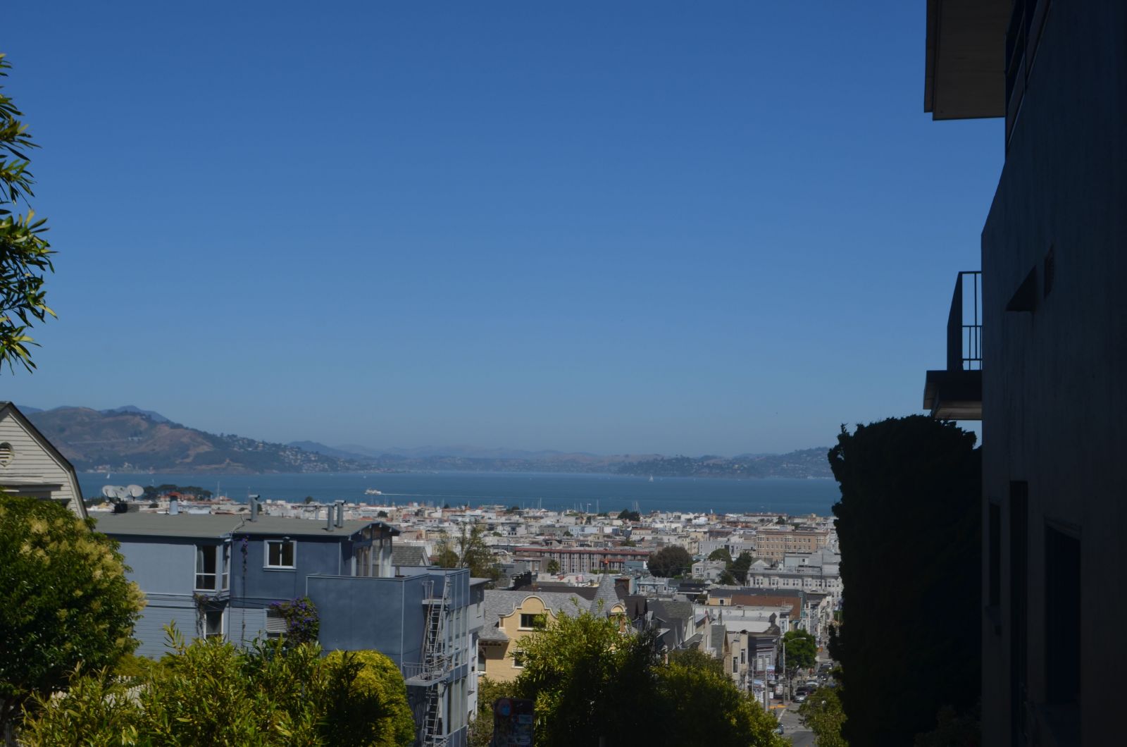 Pacific Heights