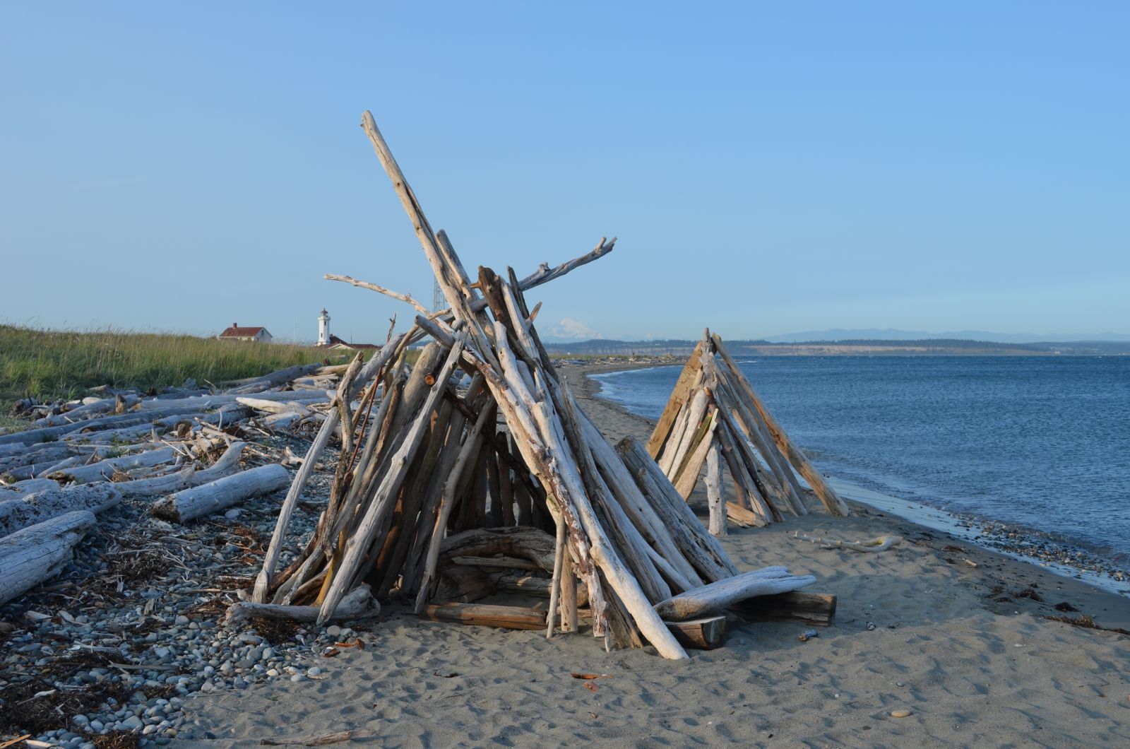 Driftwood on beach at Fort Worden.