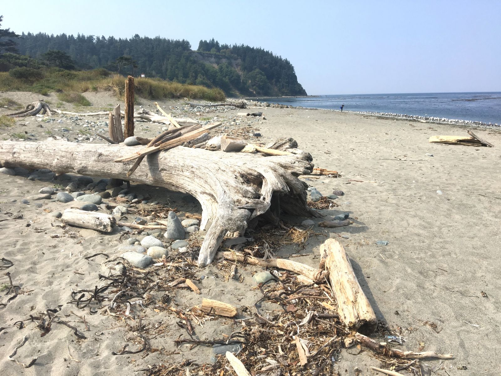 Beach at Fort Worden with Artillery Hill behind it.