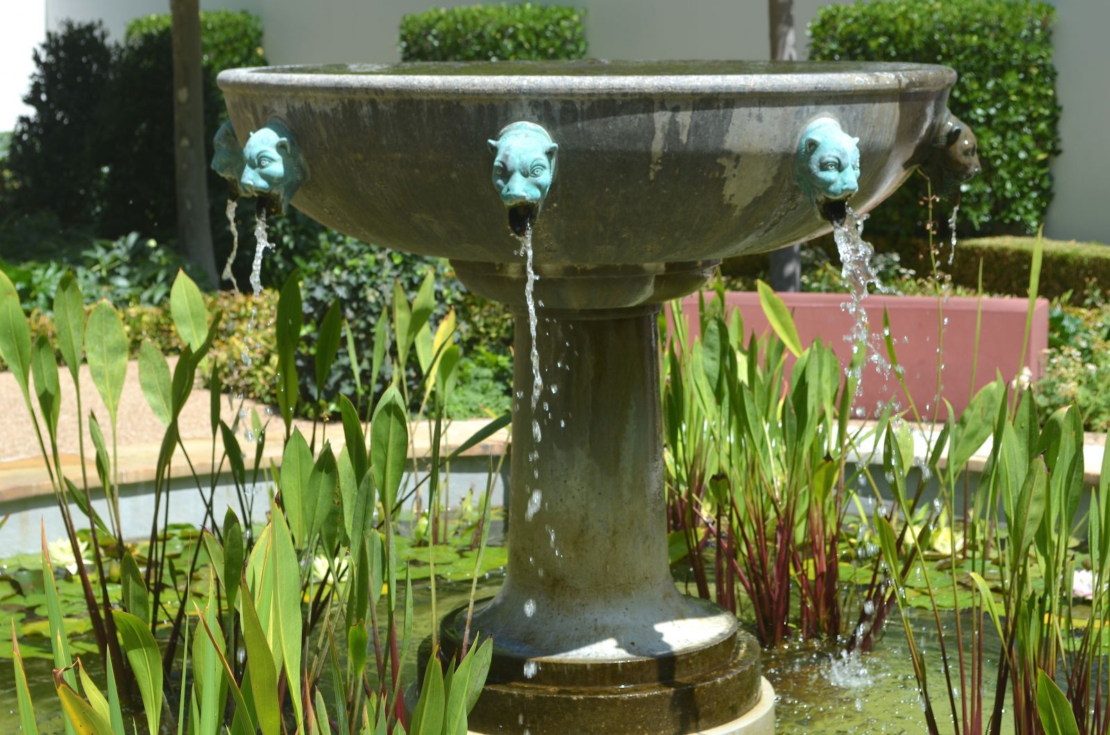 Getty Villa: East Garden