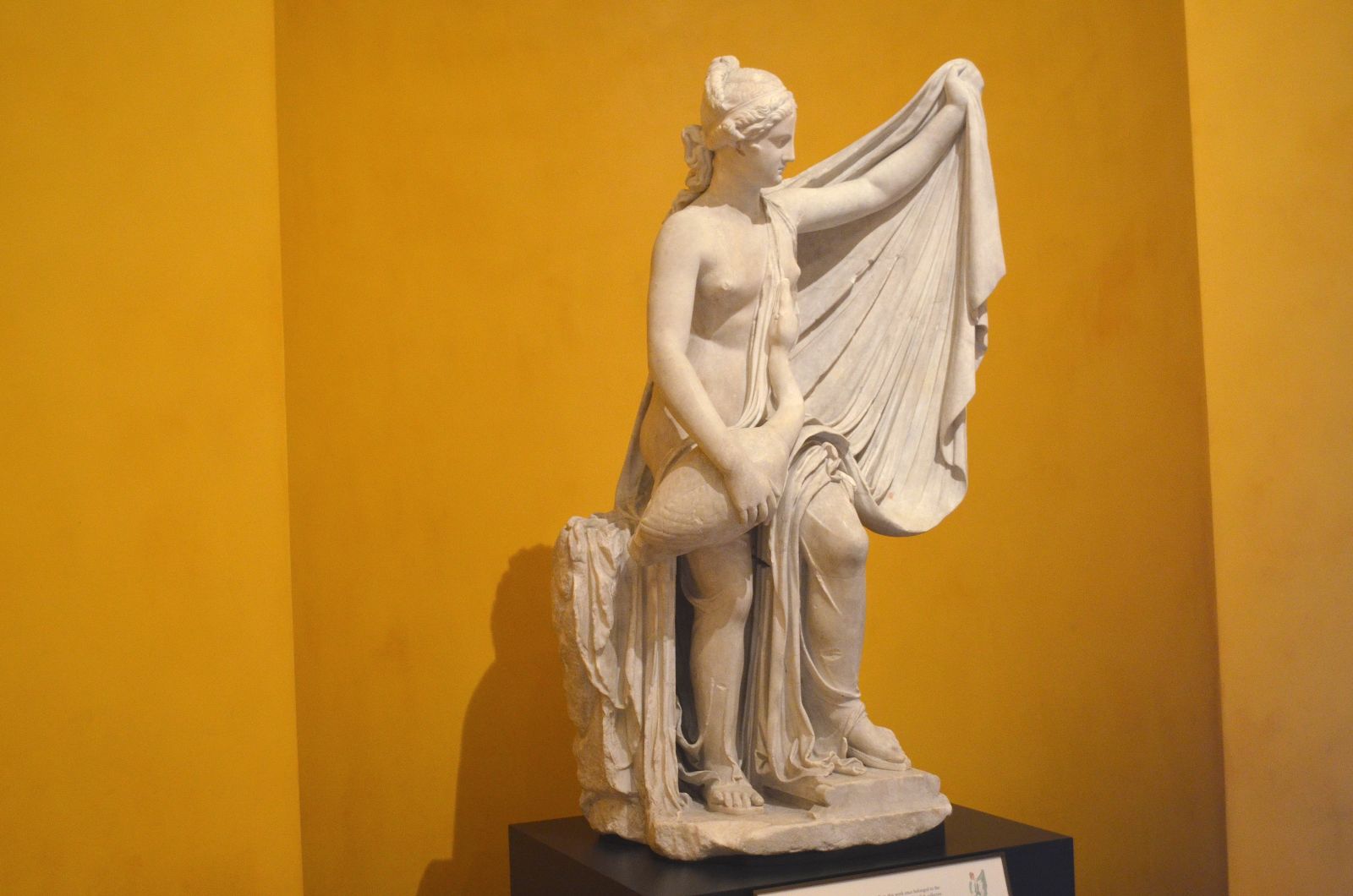 Getty Villa: Leda and the Swan Getty Villa: Leda and the Swan