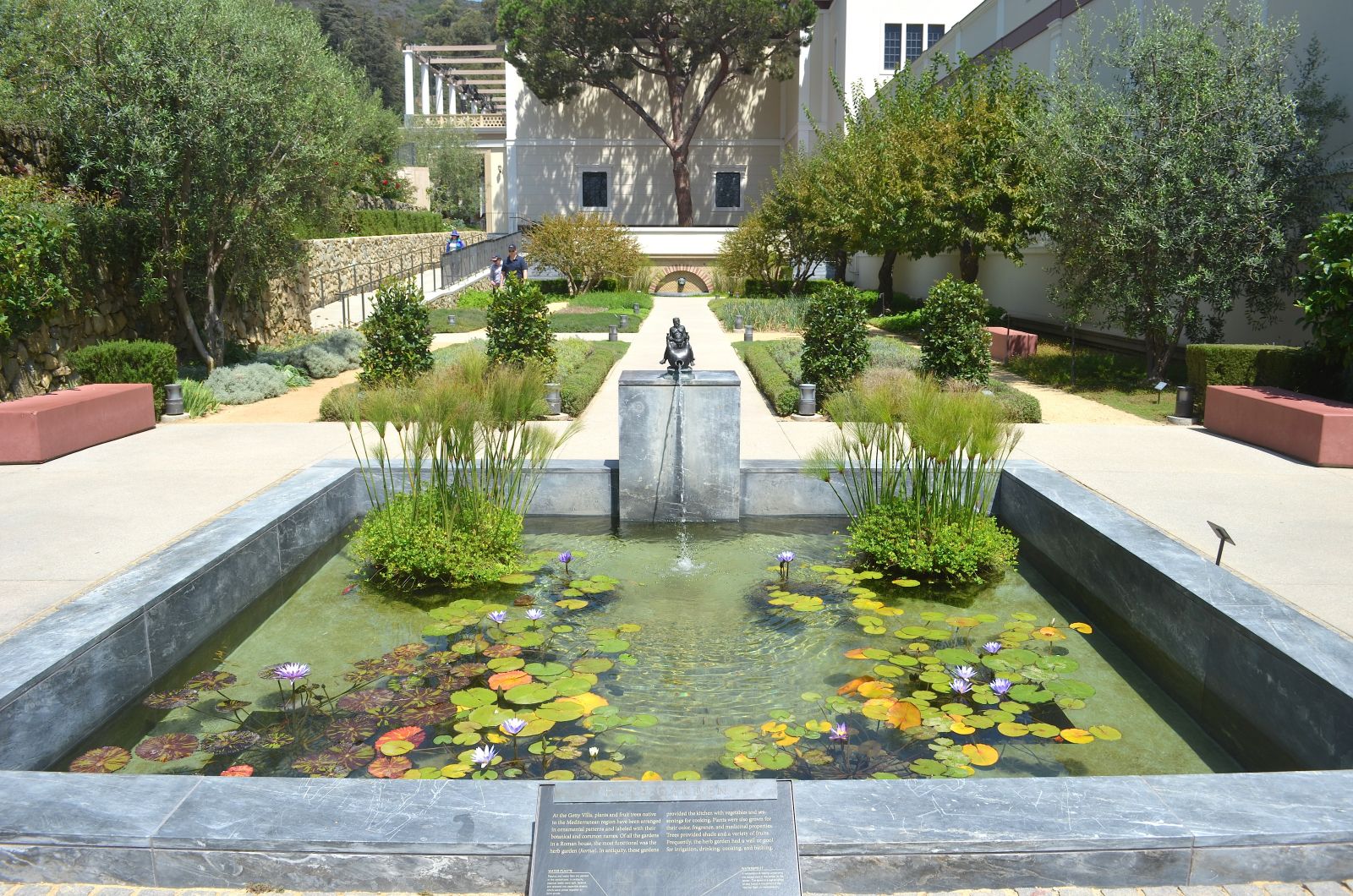 Getty Villa herb garden