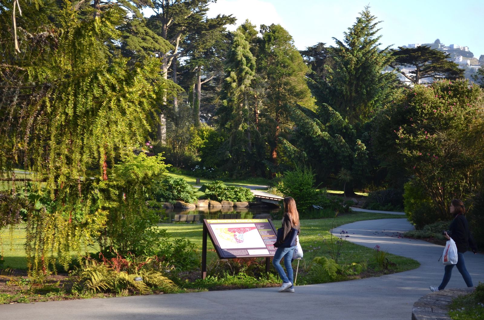 Golden Gate Park San Francisco Botanic Gardens