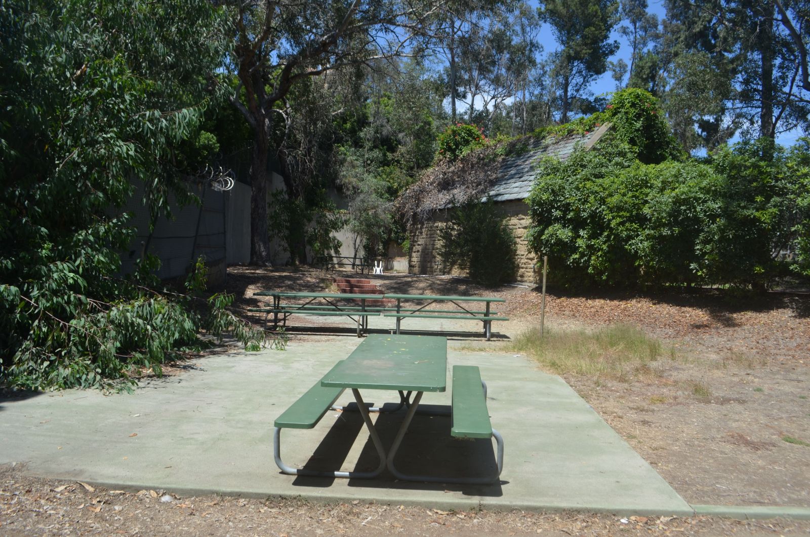 Greystone Mansion: Picnic Tables.