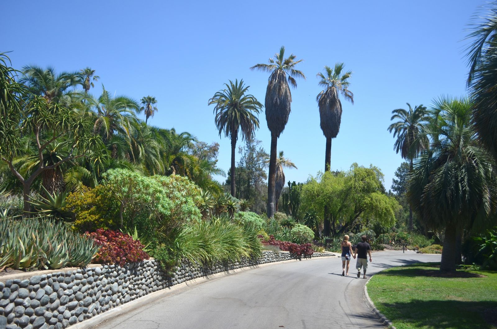 Huntington Library and Gardens - must see