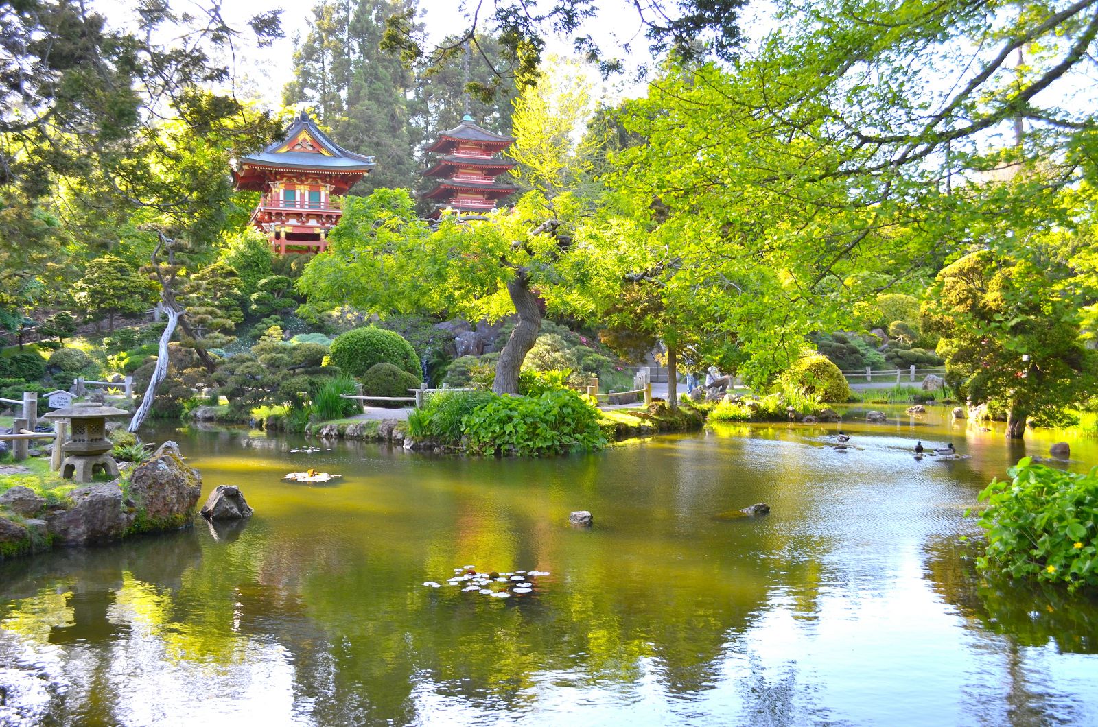 San Francisco Japanese Tea Garden