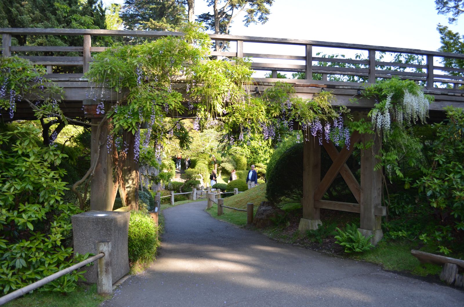 Japanese Botanical Garden SF