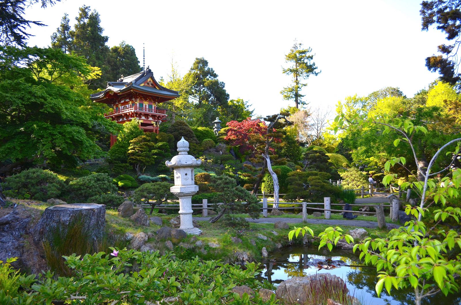 Japanese Tea Garden San Francisco CA