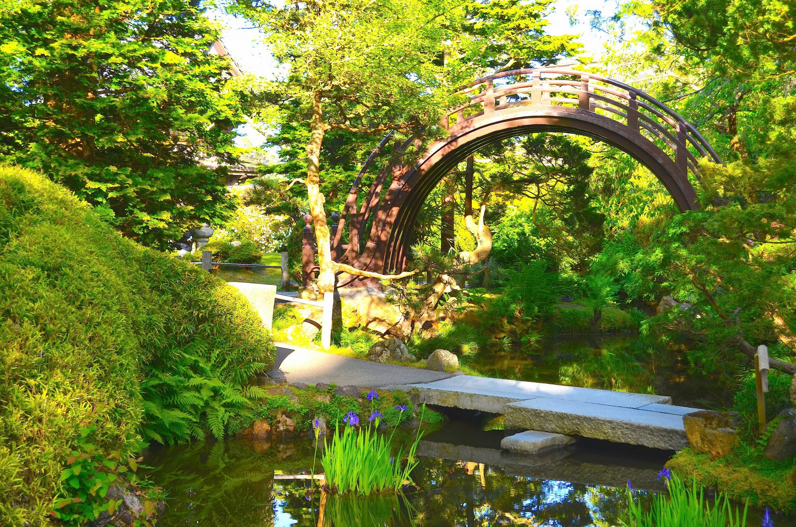 Arched drum bridge at San Francisco Japanese Tea Garden