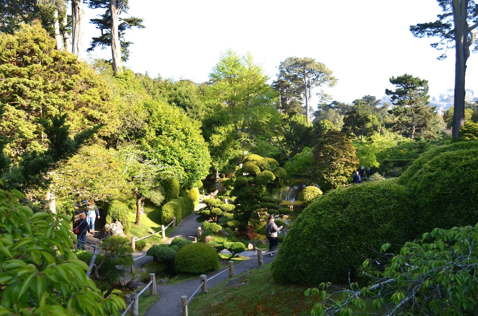 Japanese Garden SF