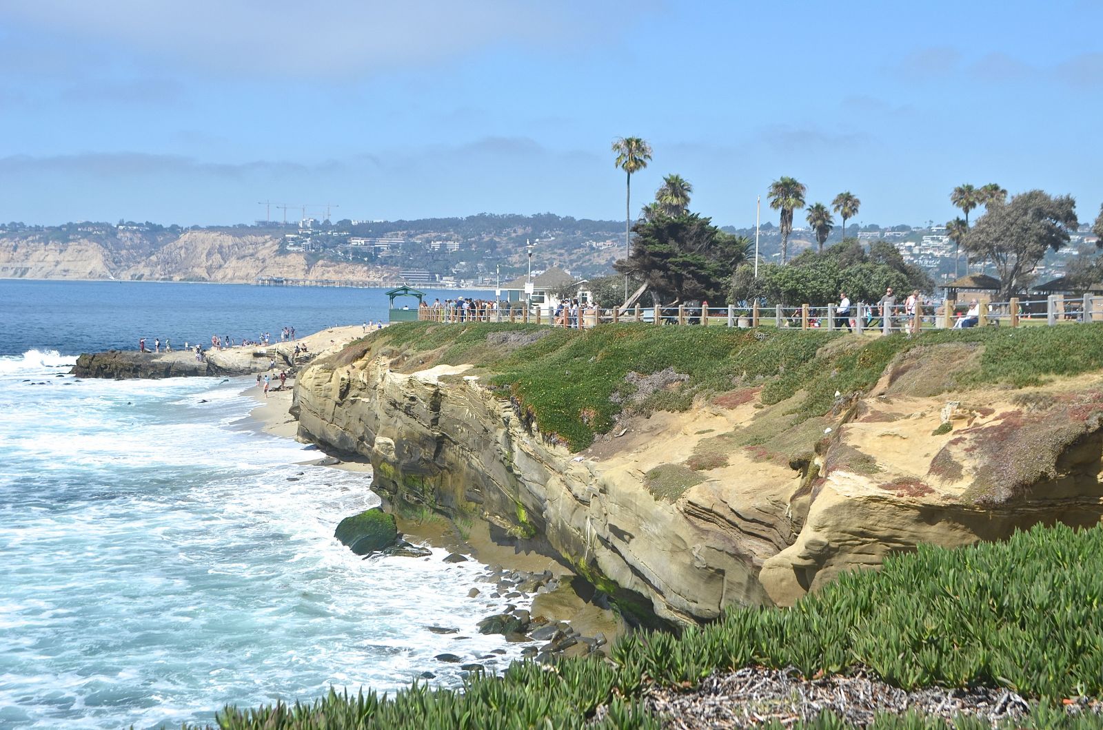 10 BEST Attractions at La Jolla