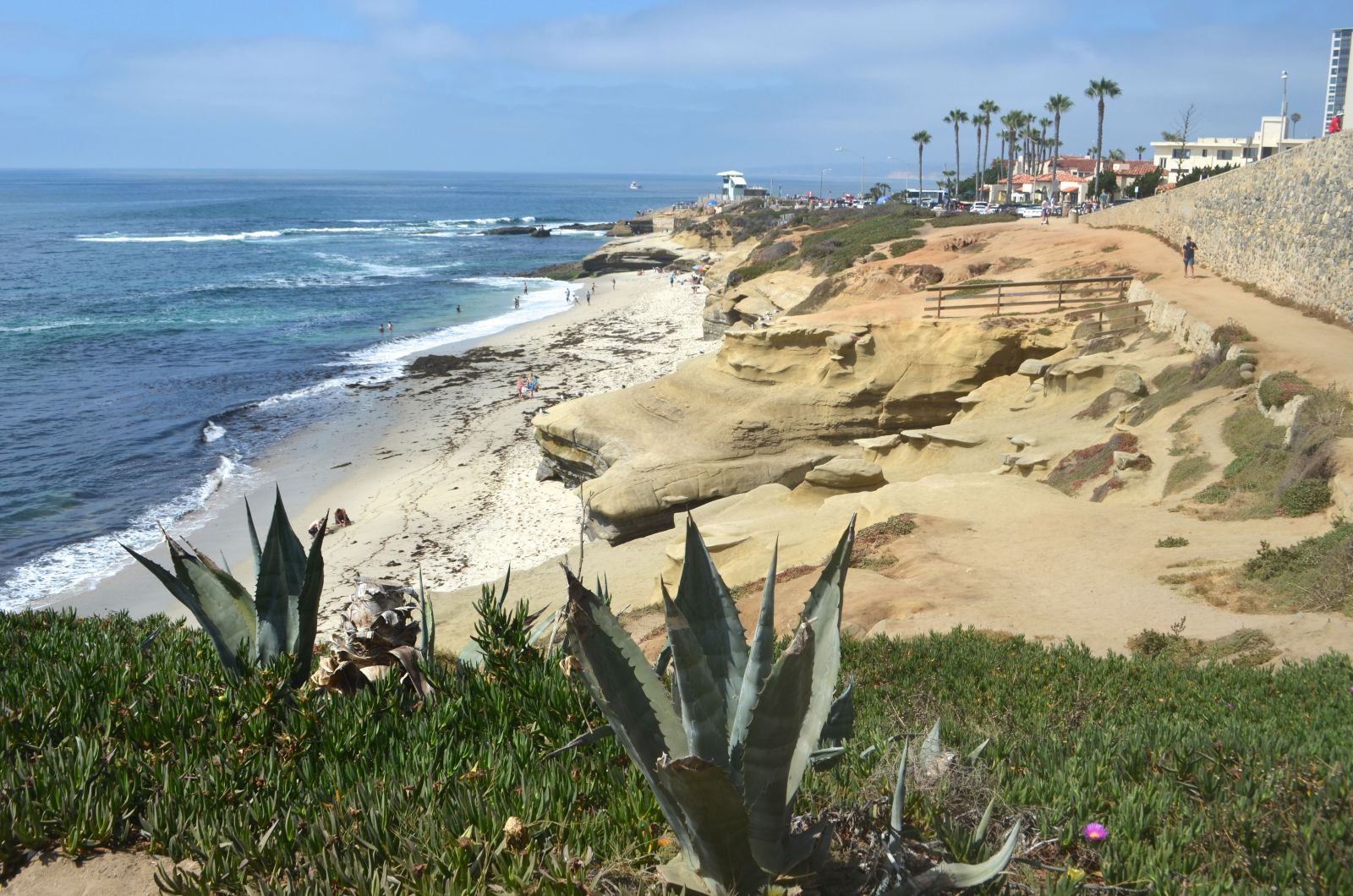 #1 GUIDE to La Jolla 