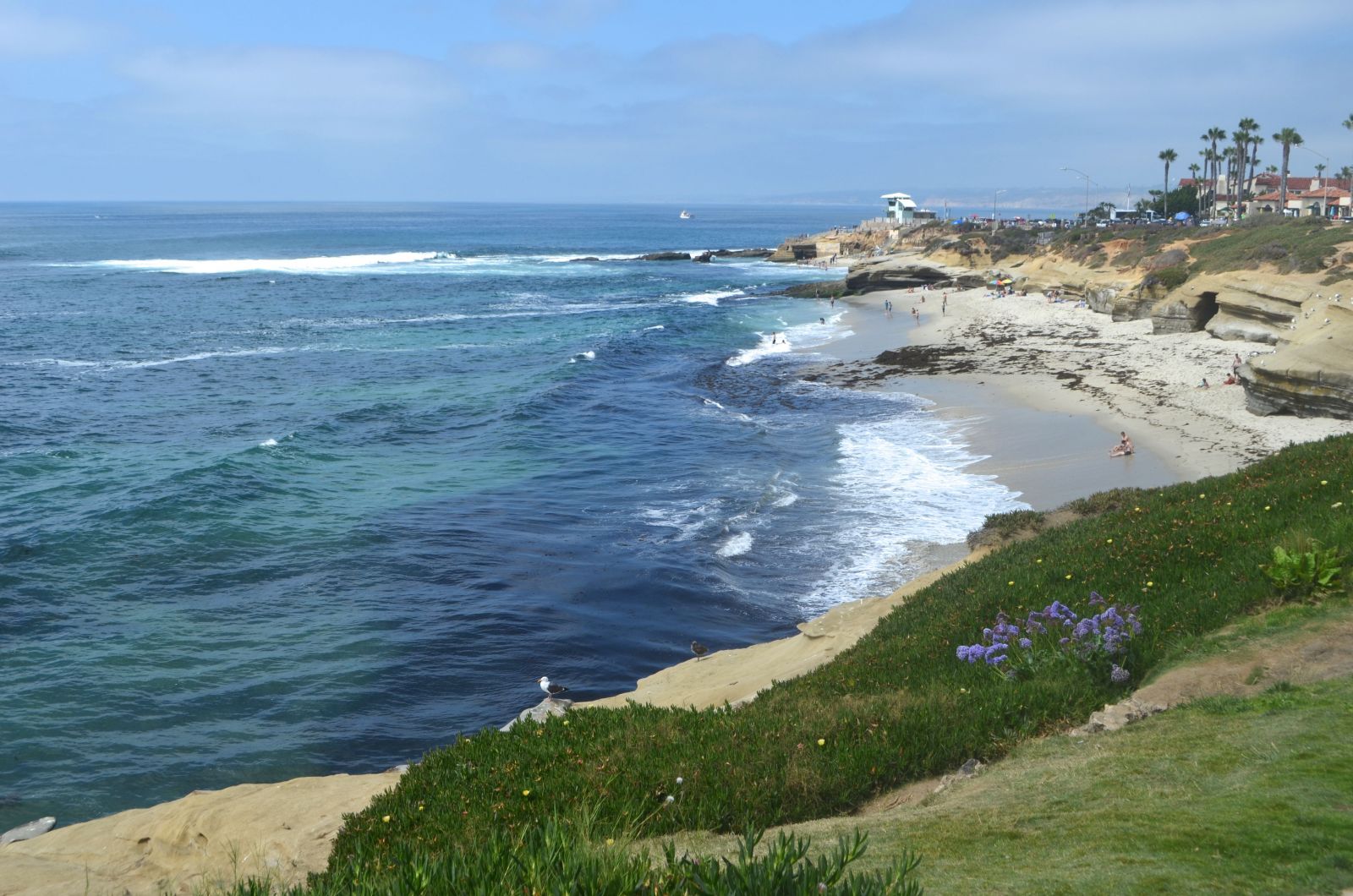 La Jolla things to do