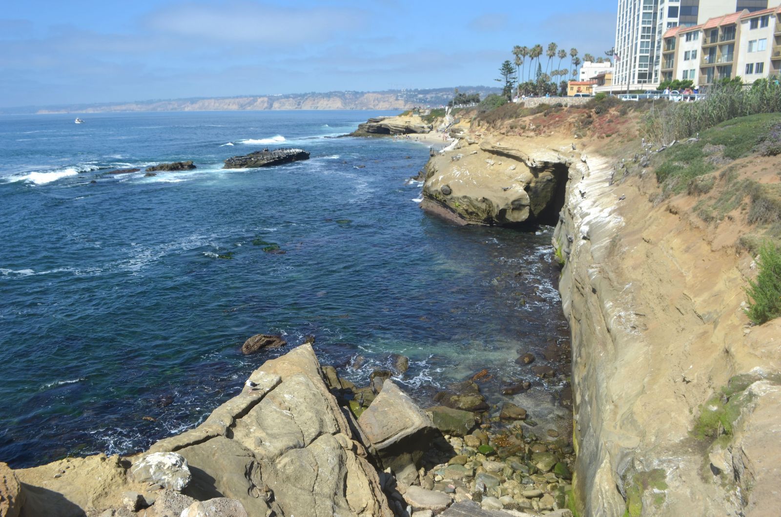 San Diego La Jolla