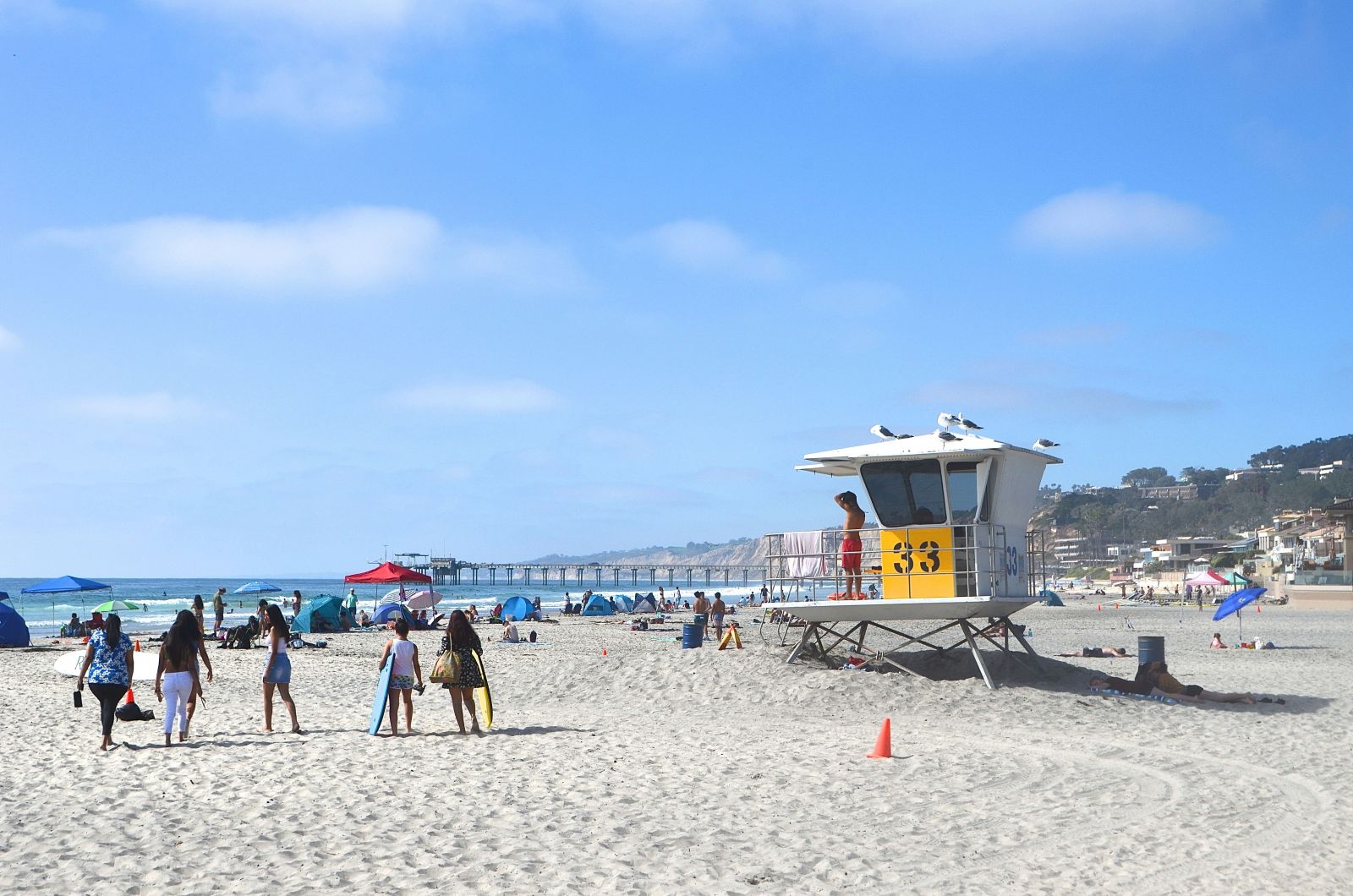 10 BEST Attractions at La Jolla Shores Beach