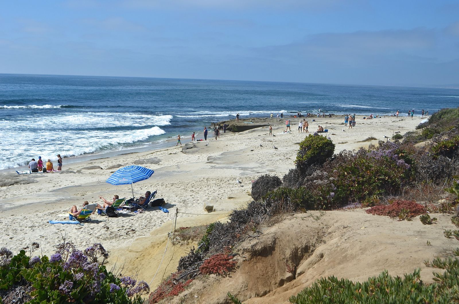 Things to do in La Jolla