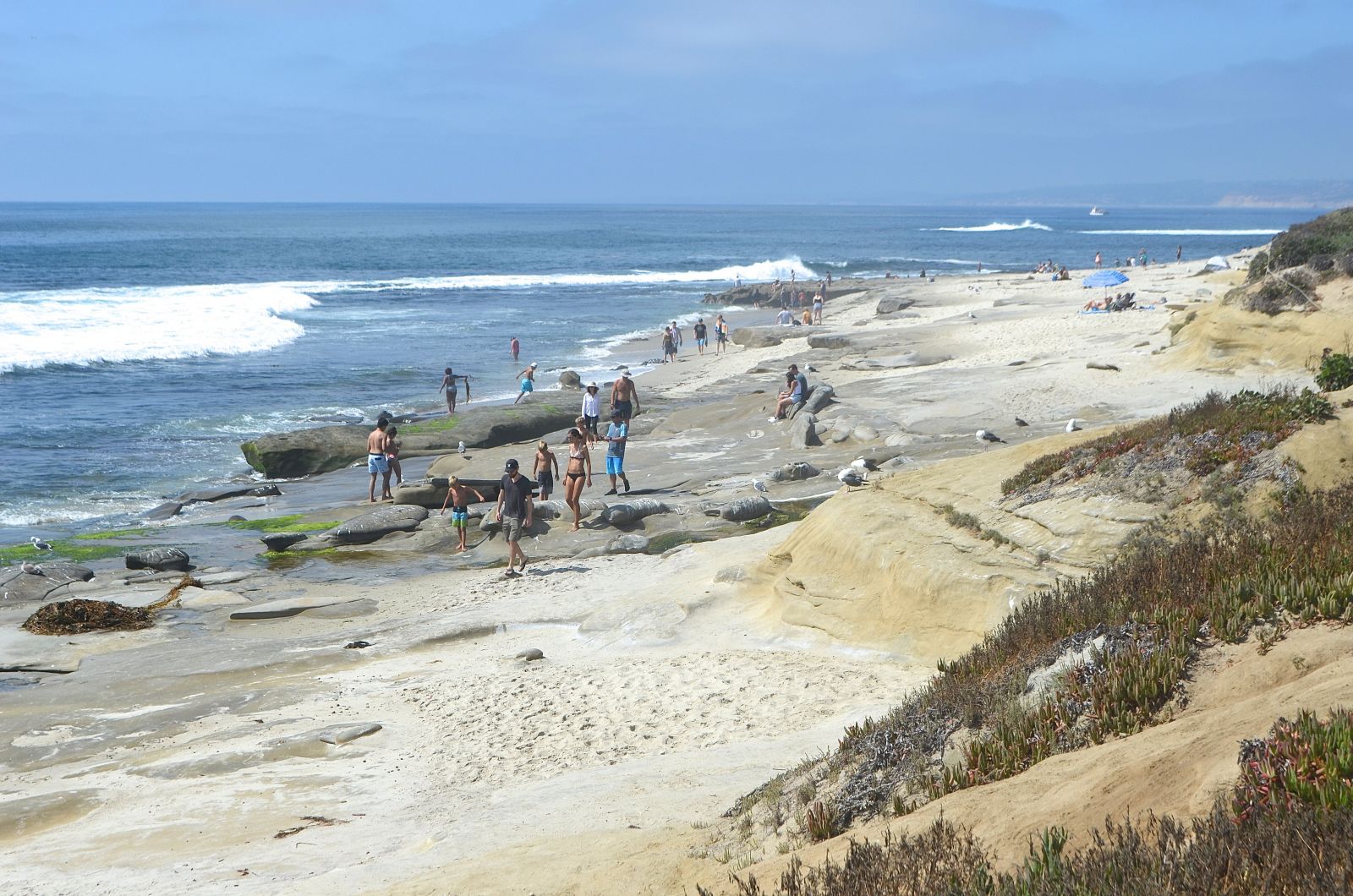 La Jolla best beaches