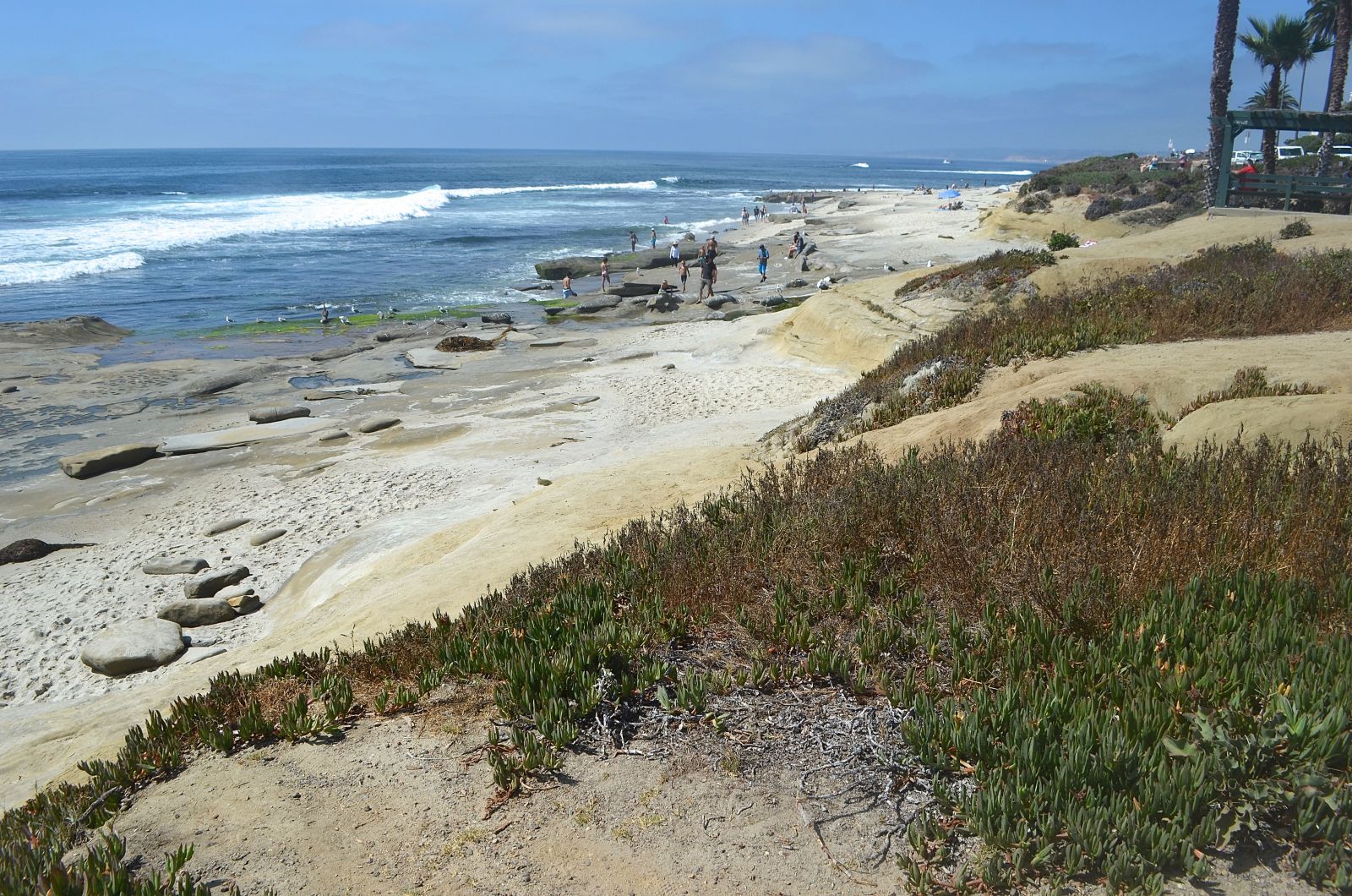 Tide pools San Diego La Jolla