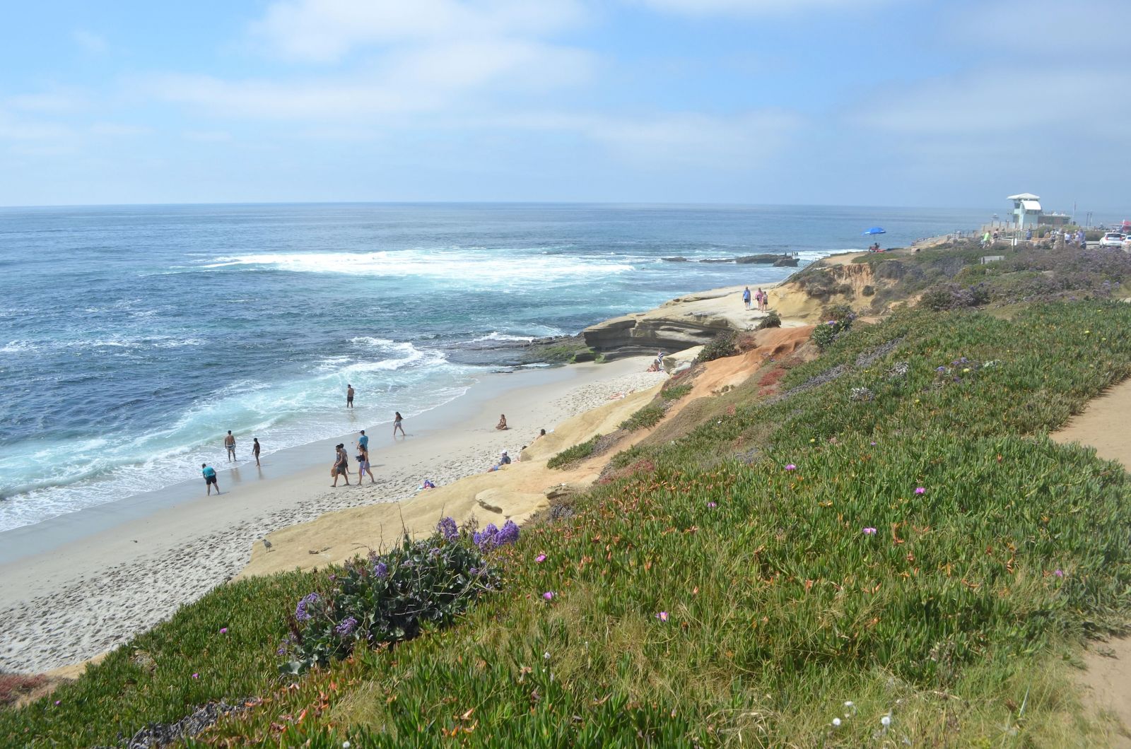 VISITOR GUIDE to La Jolla