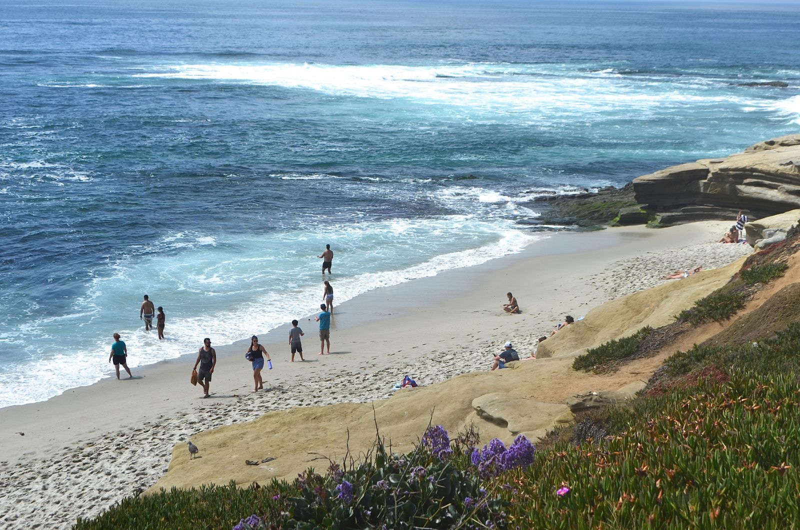 Things to do La Jolla