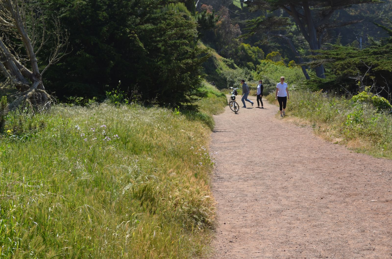 Lands End Trail