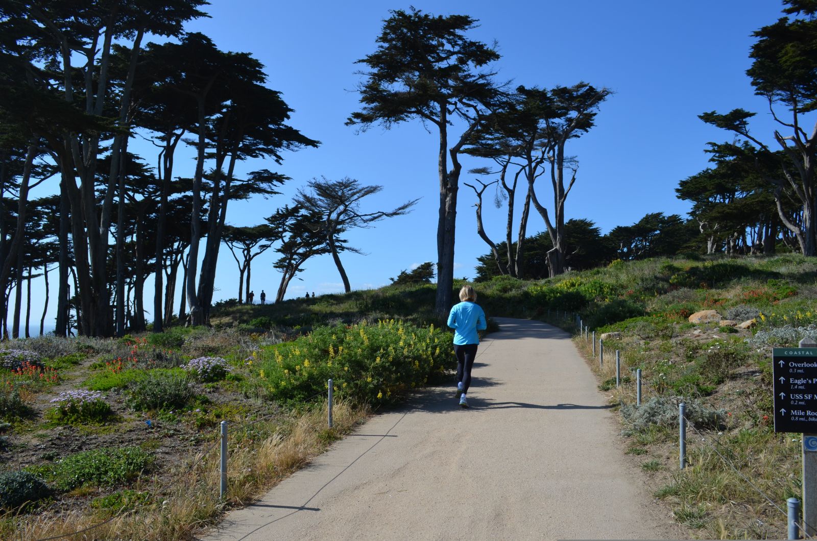 BEST Attractions at Lands End Trail in San Francisco